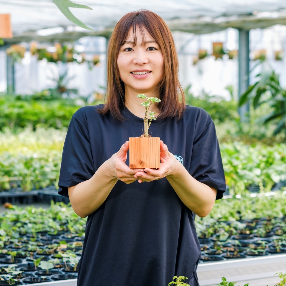 ポリシャス・バルフォリアナ・マルギナータ / 土不使用の観葉植物 / Gallery SIGMA. 焼き菓子セット / GREEN CUBE SWEETS（グリーンキューブスイーツ） [002004]