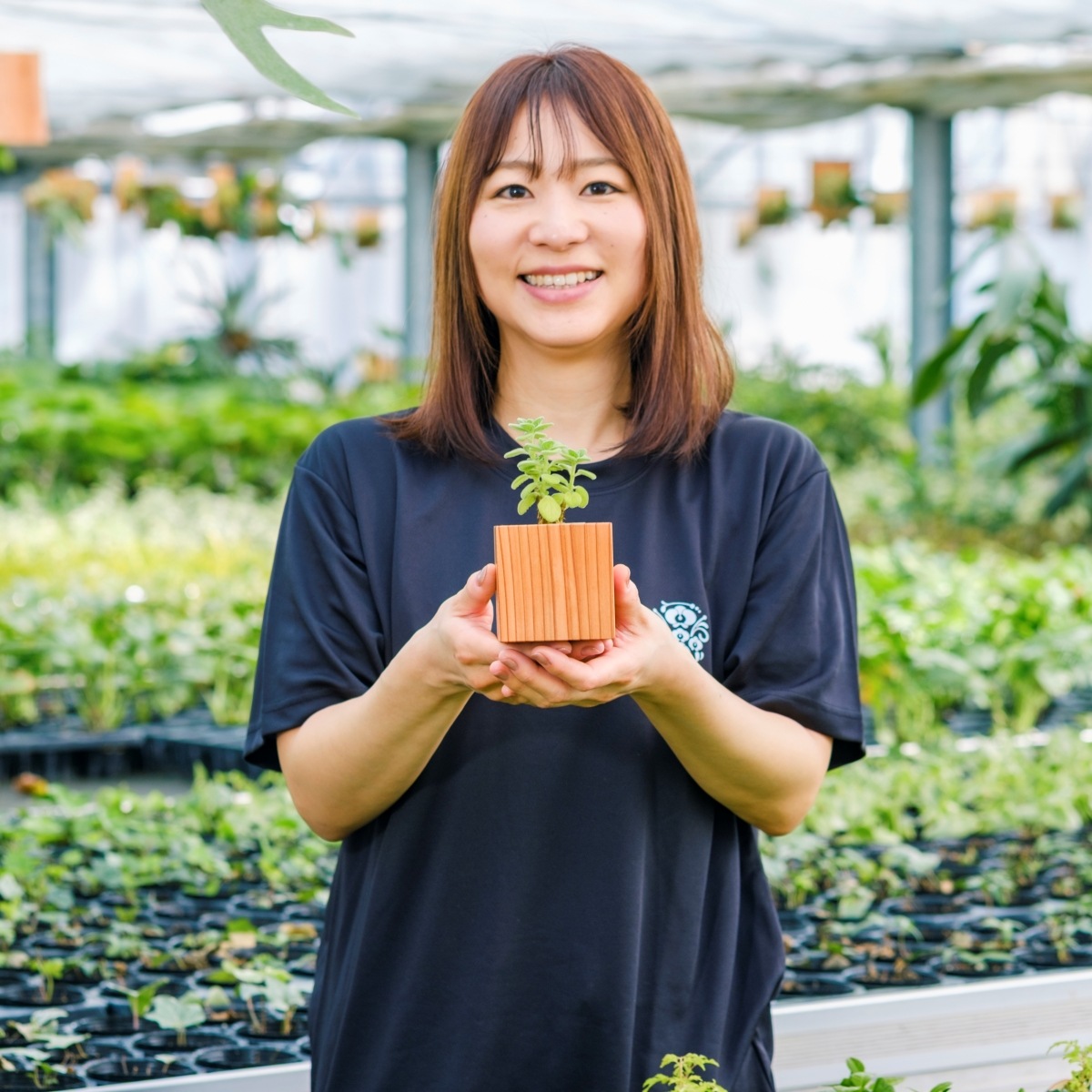 アロマティカス / 土不使用の観葉植物 / Gallery SIGMA. 焼き菓子セット / GREEN CUBE SWEETS（グリーンキューブスイーツ） [002005]