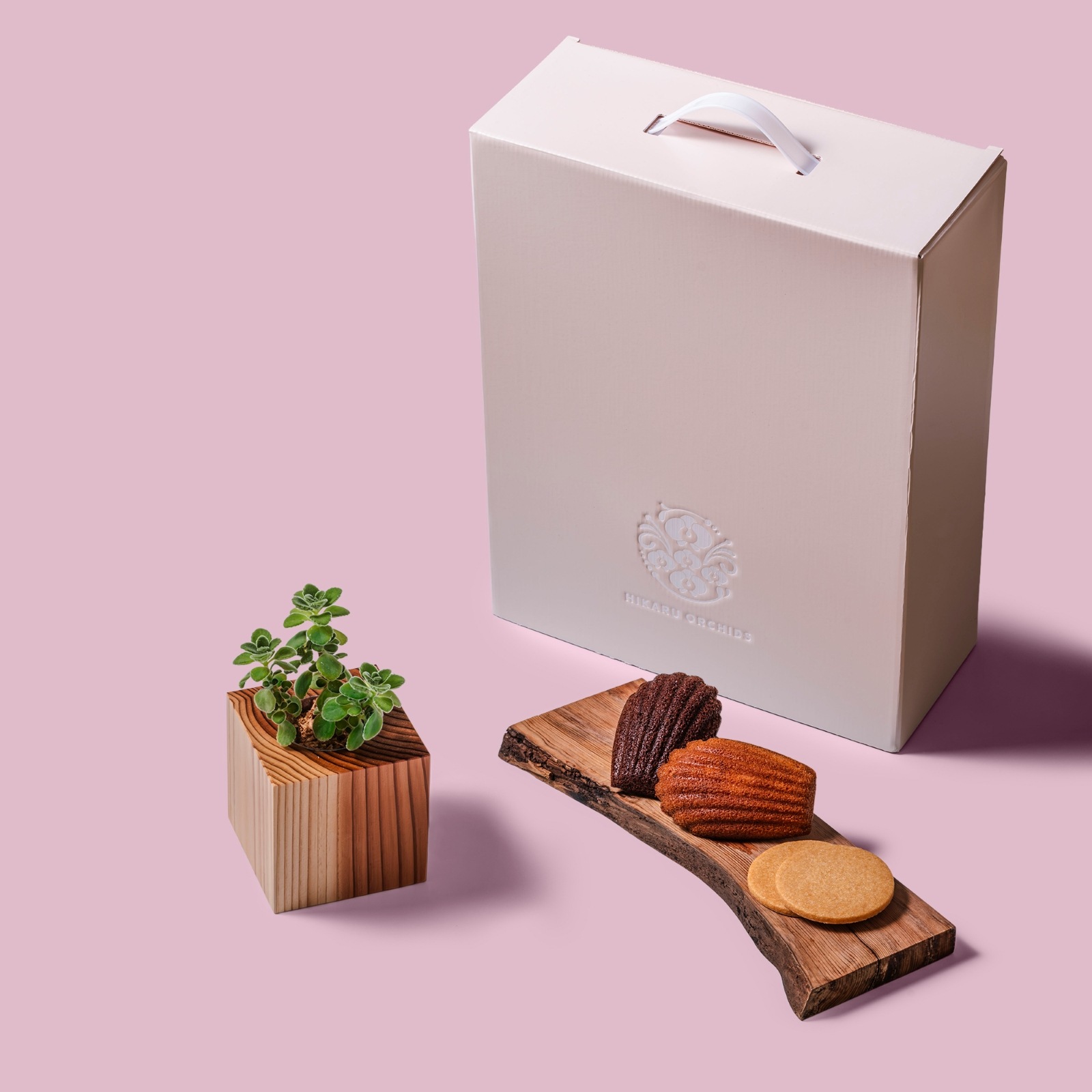 アロマティカス / 土不使用の観葉植物 / Gallery SIGMA. 焼き菓子セット / GREEN CUBE SWEETS（グリーンキューブスイーツ） [002005]