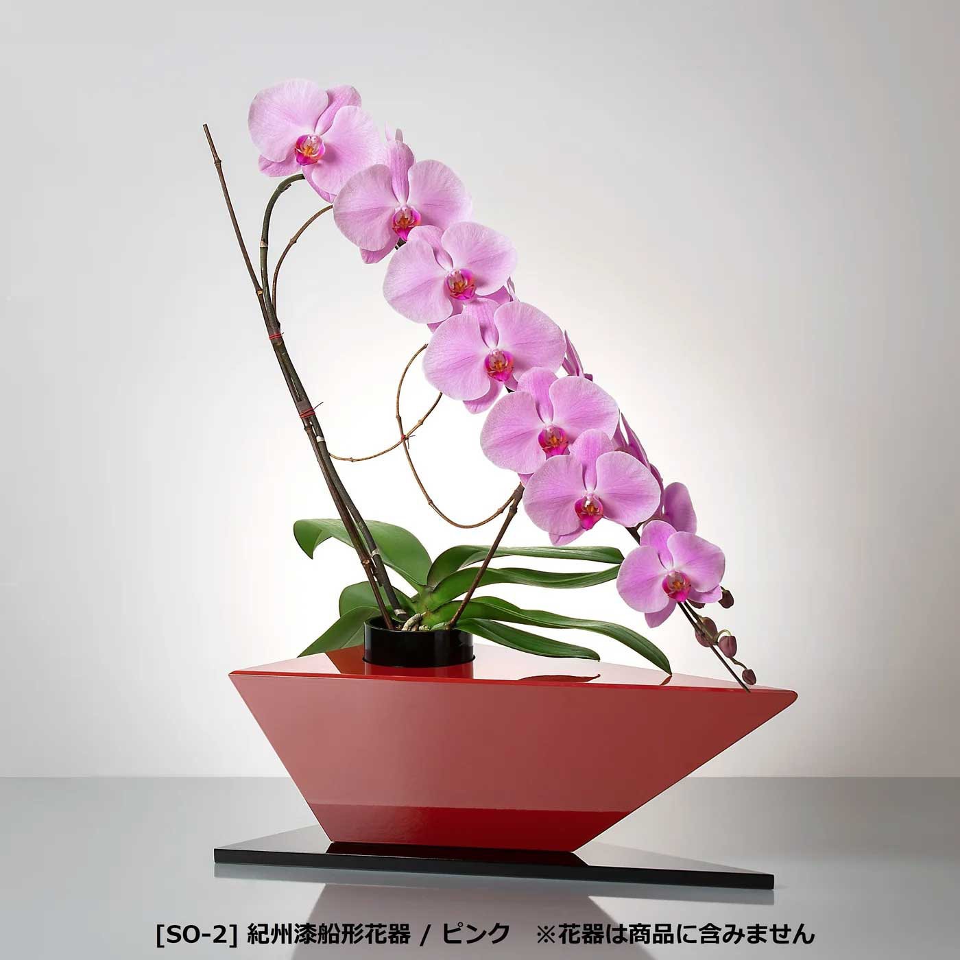 入れ替え花 ピンク胡蝶蘭 / 紀州漆船形花器用 [000214]　
