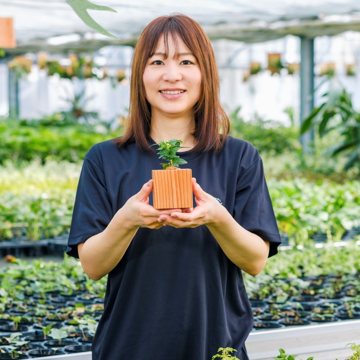 アイビー / 土不使用の観葉植物 / GREEN CUBE [001018]