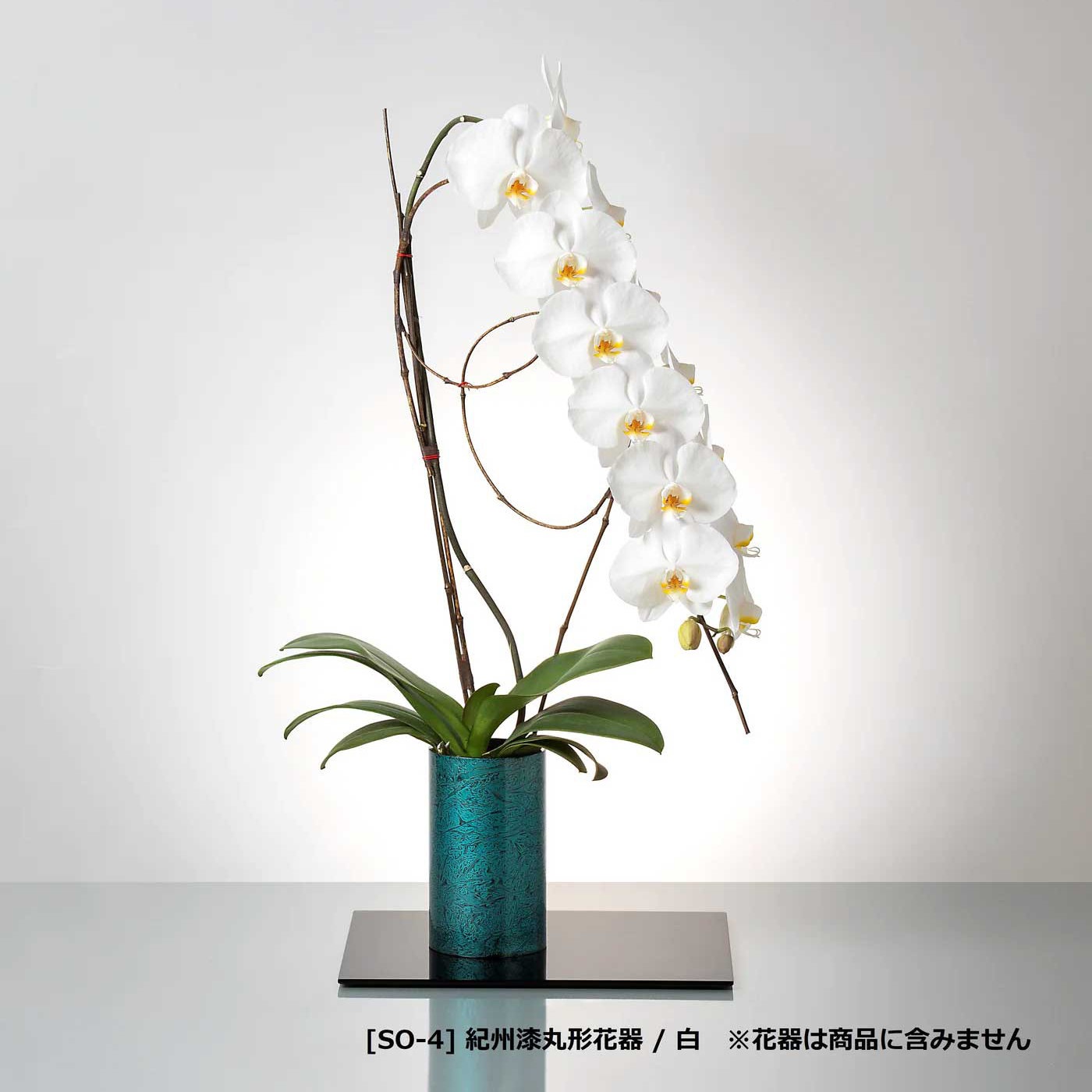 入れ替え花 赤リップ胡蝶蘭 / 紀州丸形花器用 [000218]