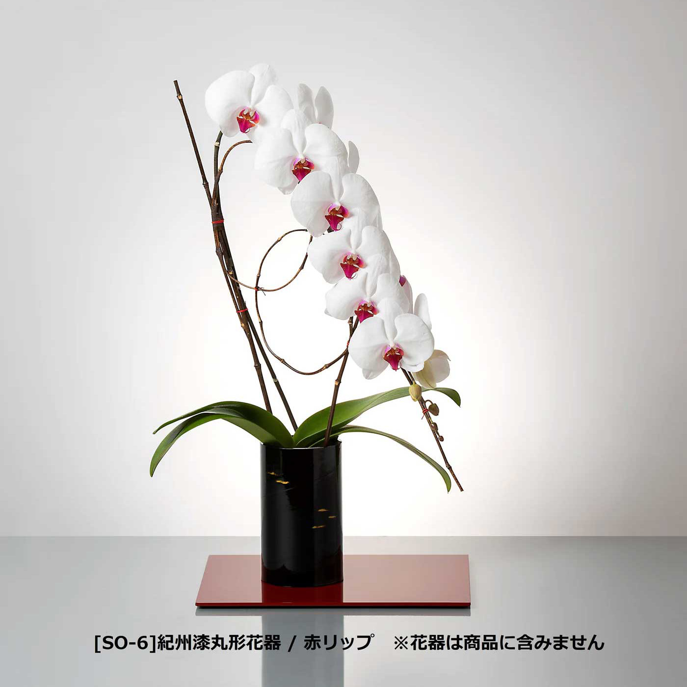 入れ替え花 赤リップ胡蝶蘭 / 紀州丸形花器用 [000218]