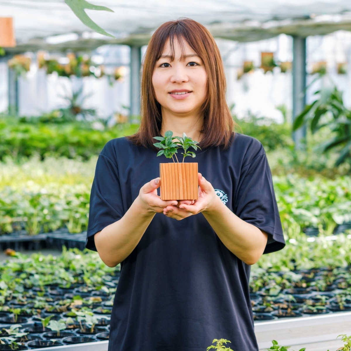 コーヒー / 土不使用の観葉植物 / Gallery SIGMA. 焼き菓子セット / GREEN CUBE SWEETS（グリーンキューブスイーツ） [002012]