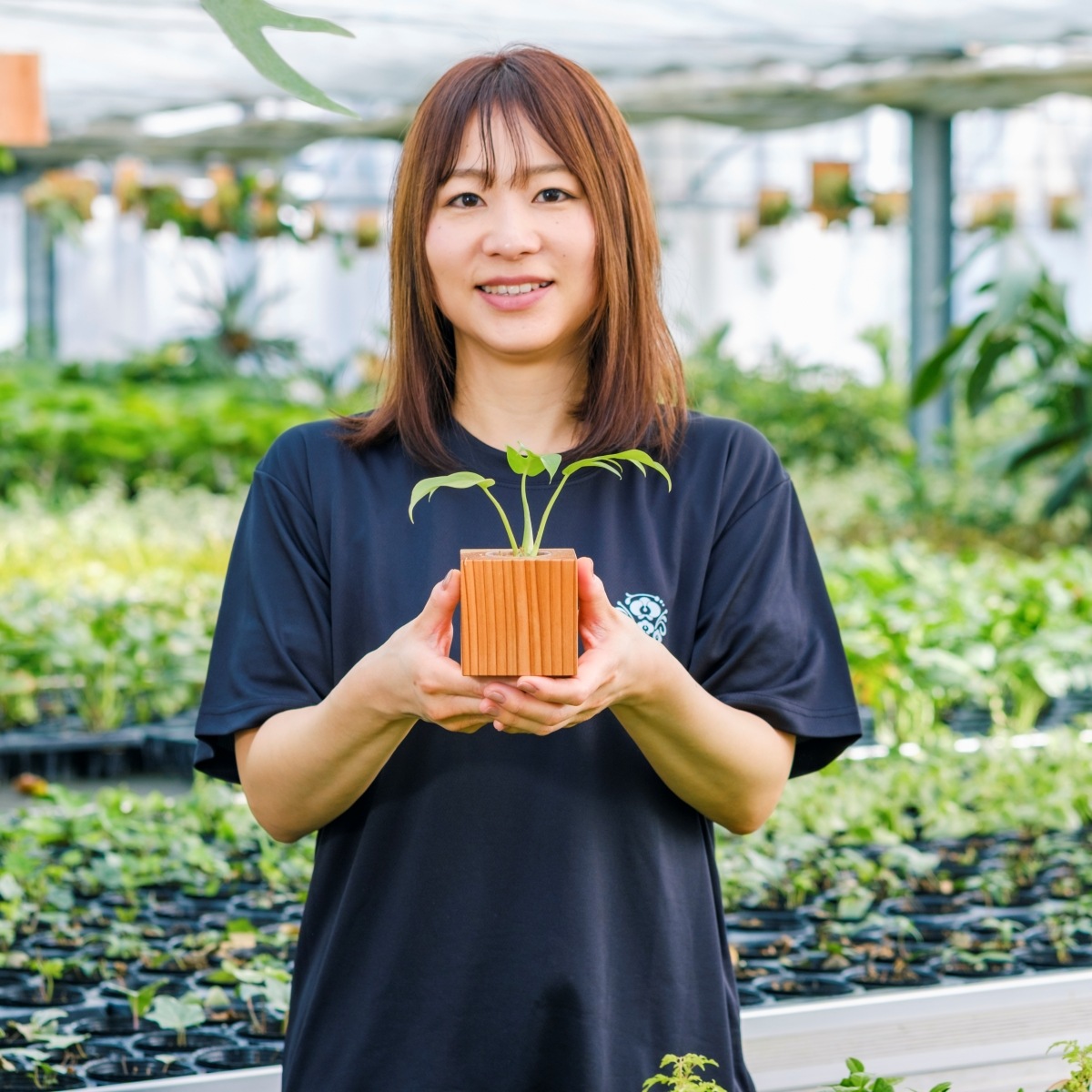 ヒメモンステラ / 土不使用の観葉植物 / Gallery SIGMA. 焼き菓子セット / GREEN CUBE SWEETS（グリーンキューブスイーツ） [002016]