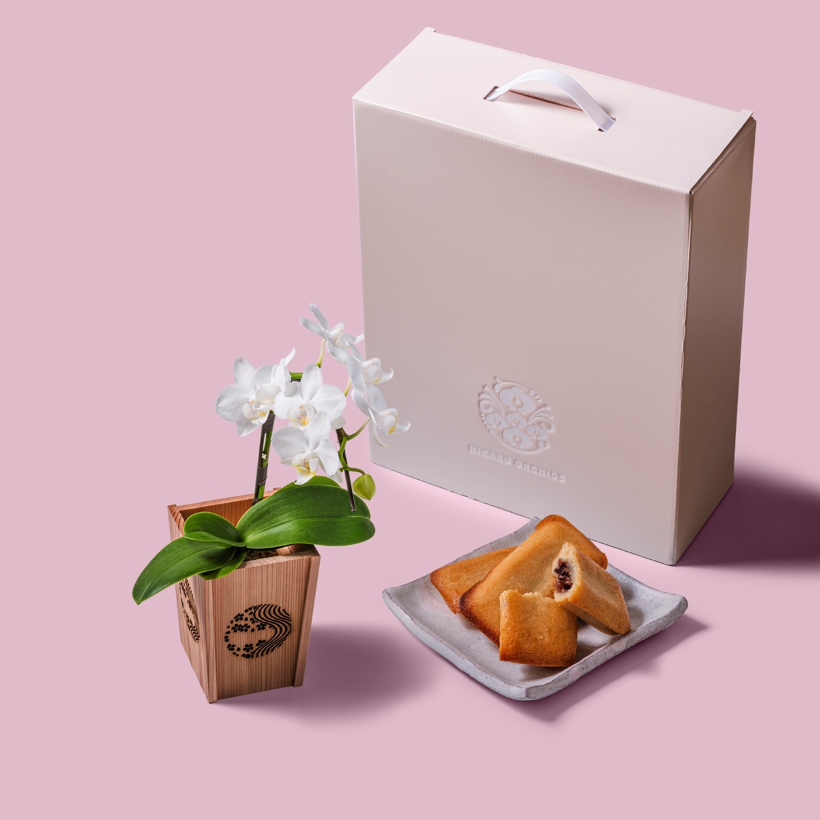 白 小輪 胡蝶蘭 / マル西製菓ぺんぎん一番堂 焼き菓子セット / NENE SWEETS 組子細工風 桜川（さくらがわ）[002701]