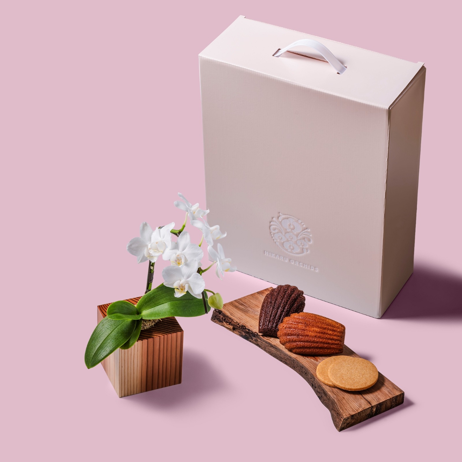 白 小輪 胡蝶蘭 / Gallery SIGMA. 焼き菓子セット / ORCHID CUBE SWEETS（オーキッドキューブスイーツ）[004701]