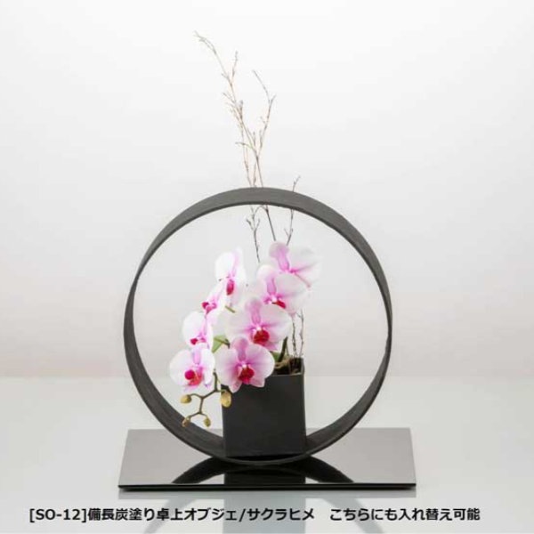 入替え花 ピンク胡蝶蘭（サクラヒメ）ミディショートタイプ / COCO・SOSOリングシリーズ用 [603]