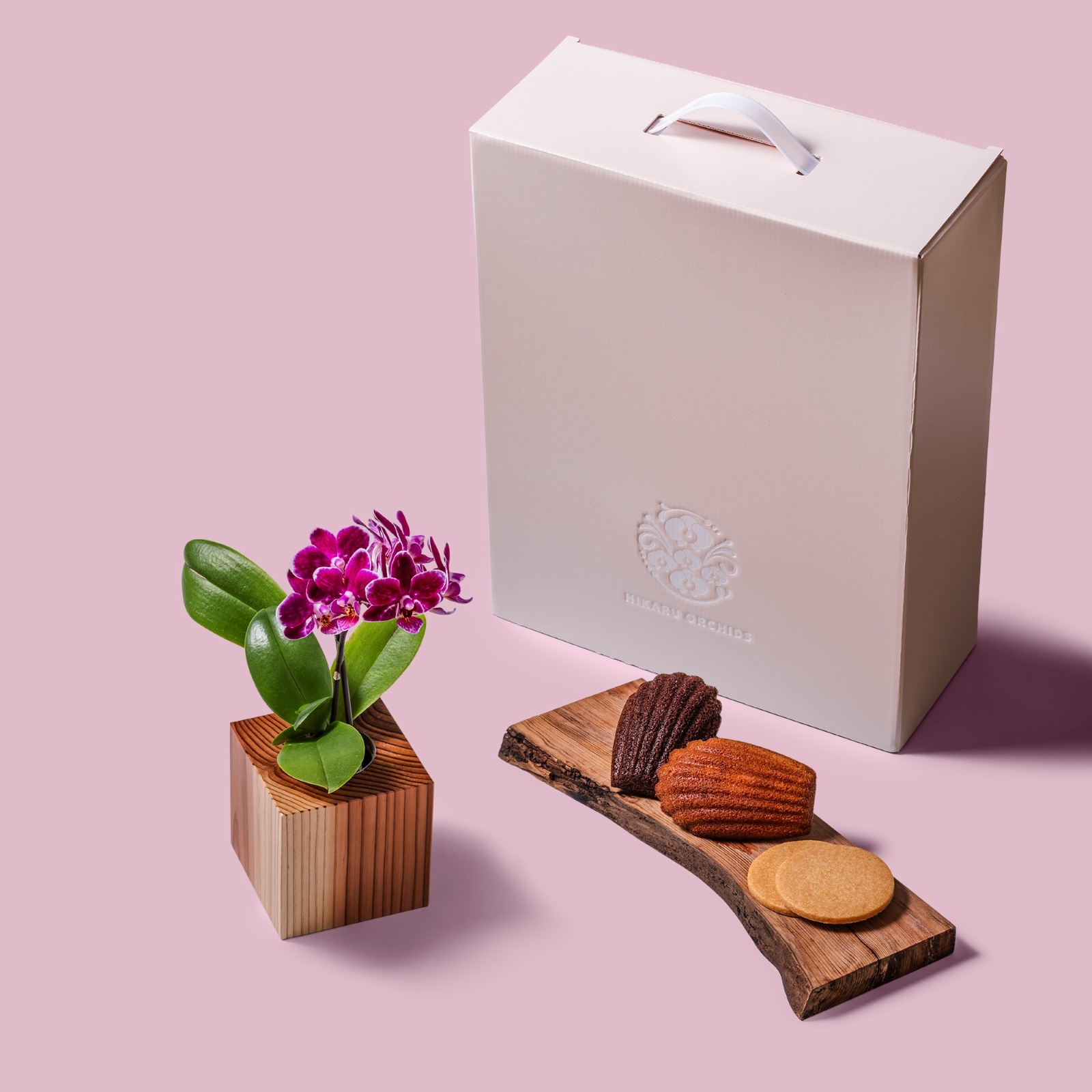 紫 小輪 胡蝶蘭 / Gallery SIGMA. 焼き菓子セット / ORCHID CUBE SWEETS（オーキッドキューブスイーツ）[004705]