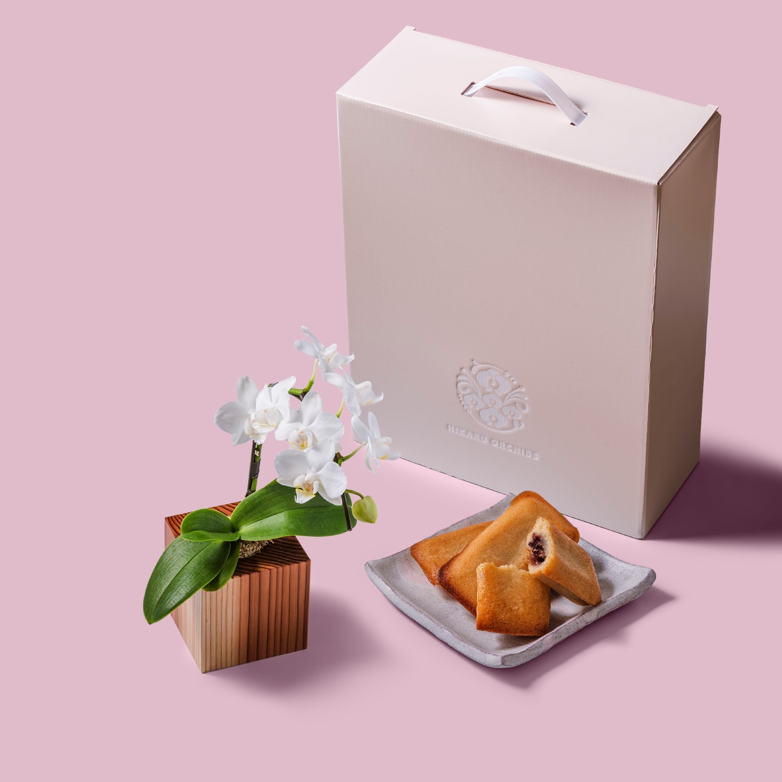 白 小輪 胡蝶蘭 / マル西製菓ぺんぎん一番堂 焼き菓子セット / ORCHID CUBE SWEETS（オーキッドキューブスイーツ）[004711]