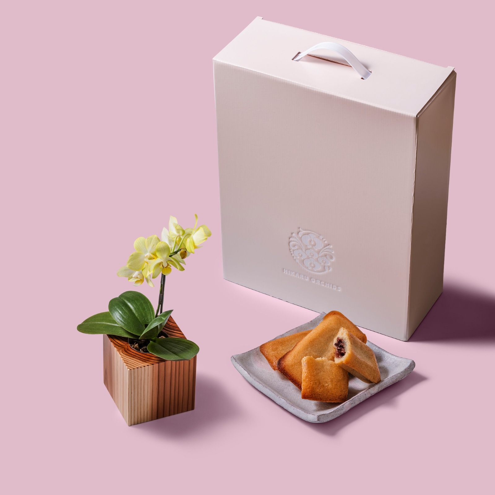 黄 小輪 胡蝶蘭 / マル西製菓ぺんぎん一番堂 焼き菓子セット / ORCHID CUBE SWEETS（オーキッドキューブスイーツ）[004712]