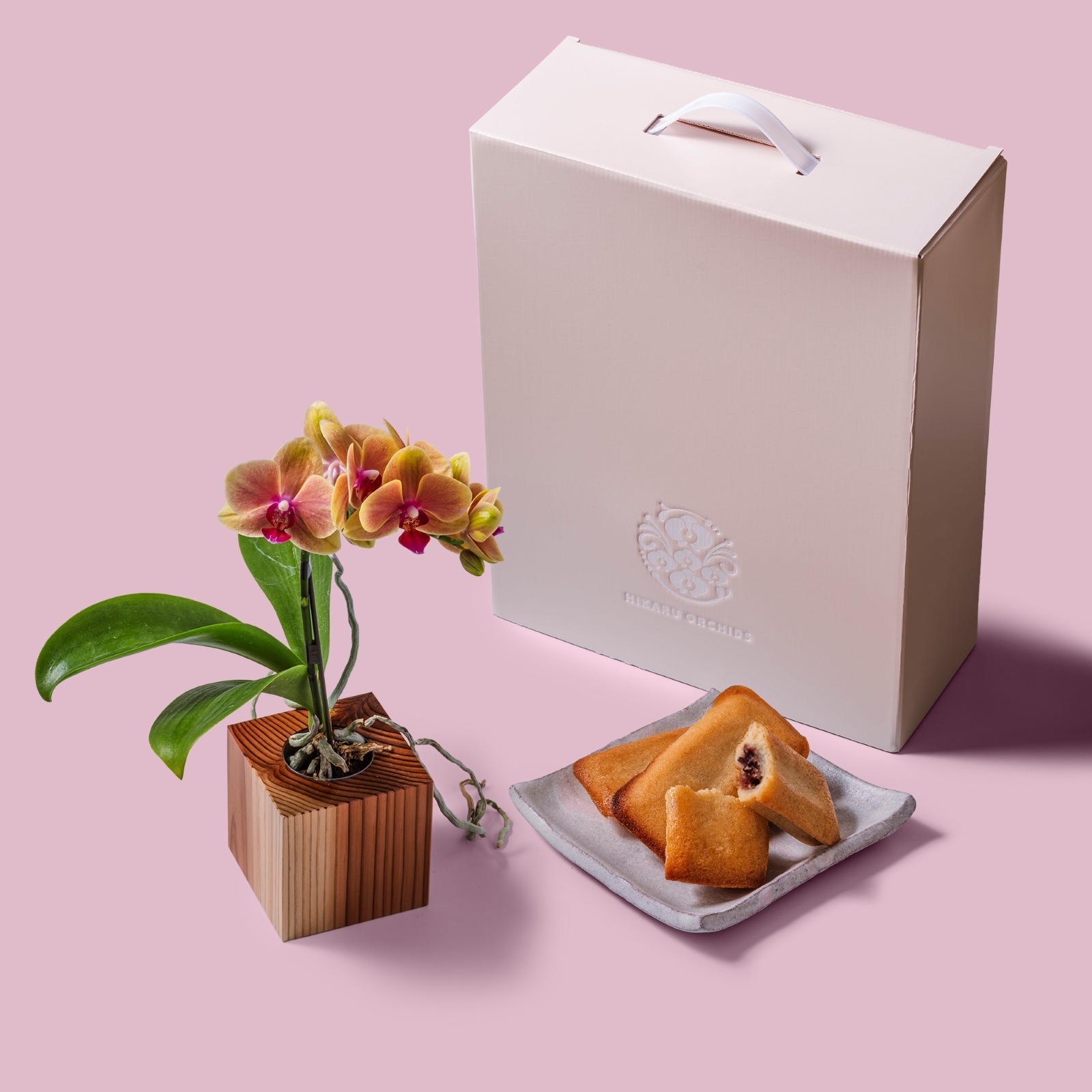 オレンジ 小輪 胡蝶蘭 / マル西製菓ぺんぎん一番堂 焼き菓子セット / ORCHID CUBE SWEETS（オーキッドキューブスイーツ）[004713]