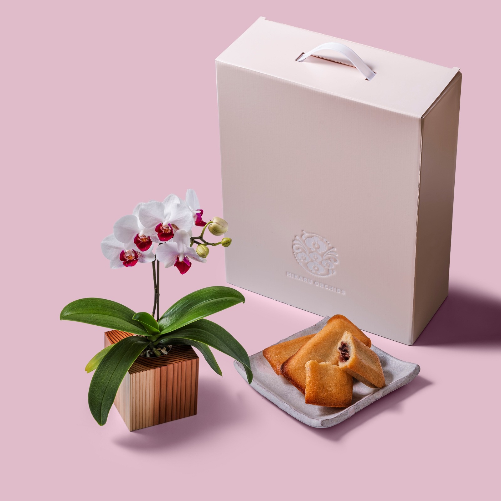 白赤 小輪 胡蝶蘭 / マル西製菓ぺんぎん一番堂 焼き菓子セット / ORCHID CUBE SWEETS（オーキッドキューブスイーツ）[004714]