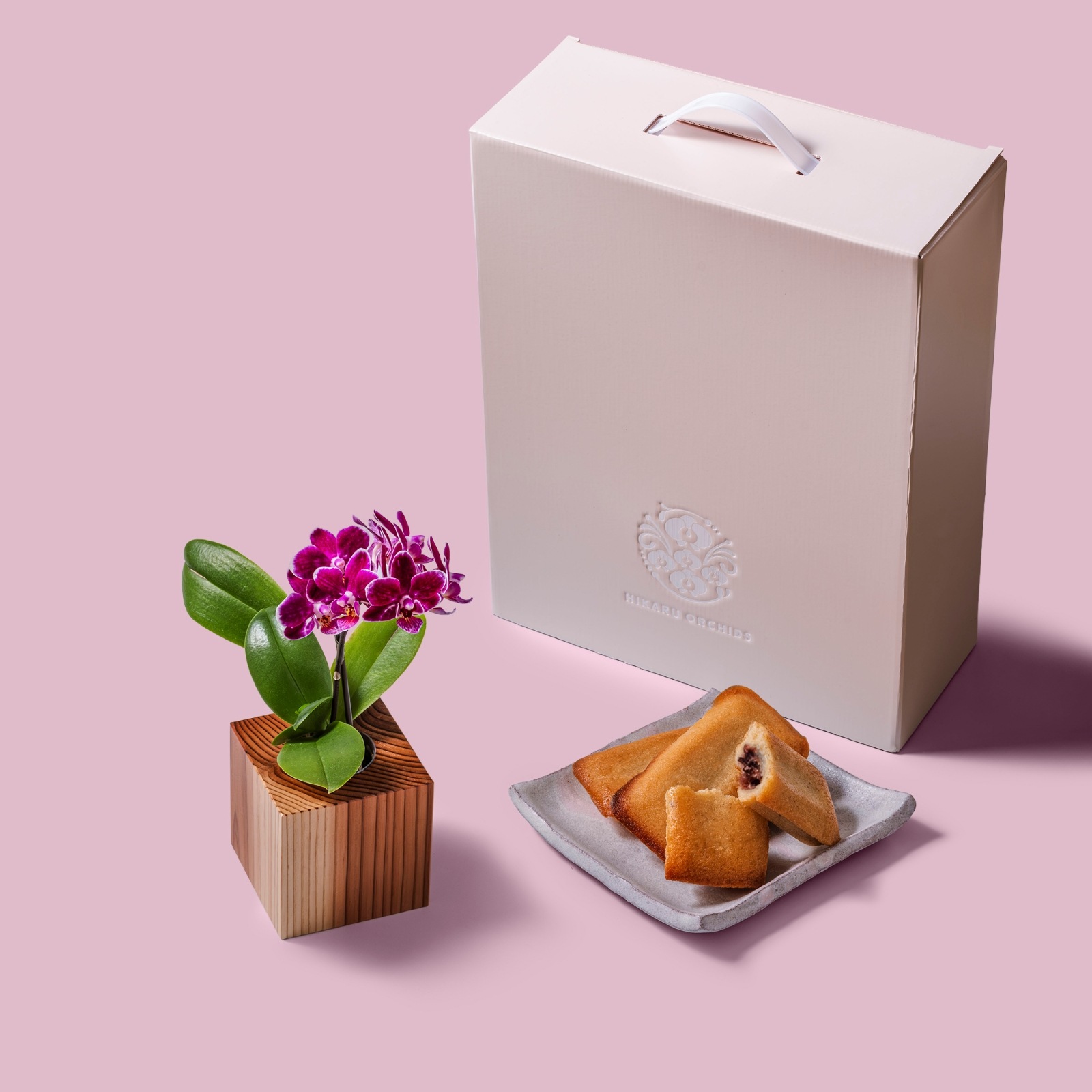 紫 小輪 胡蝶蘭 /  マル西製菓ぺんぎん一番堂 焼き菓子セット / ORCHID CUBE SWEETS（オーキッドキューブスイーツ）[004715]