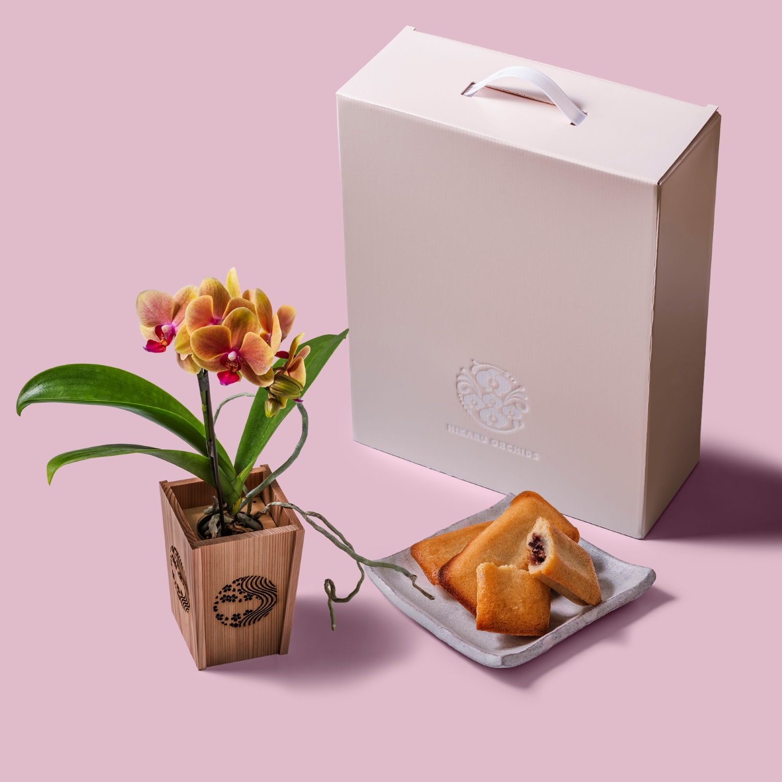 オレンジ 小輪 胡蝶蘭 / マル西製菓ぺんぎん一番堂 焼き菓子セット / NENE 組子細工風 桜川（さくらがわ）[002703]