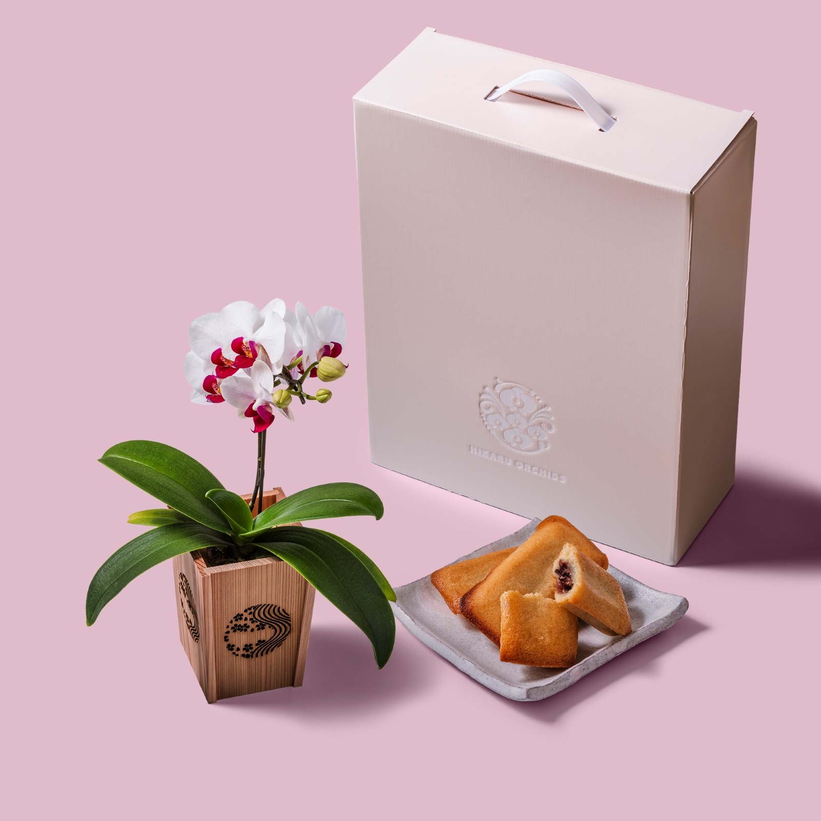 白赤 小輪 胡蝶蘭 / マル西製菓ぺんぎん一番堂 焼き菓子セット / NENE 組子細工風 桜川（さくらがわ）[002704]