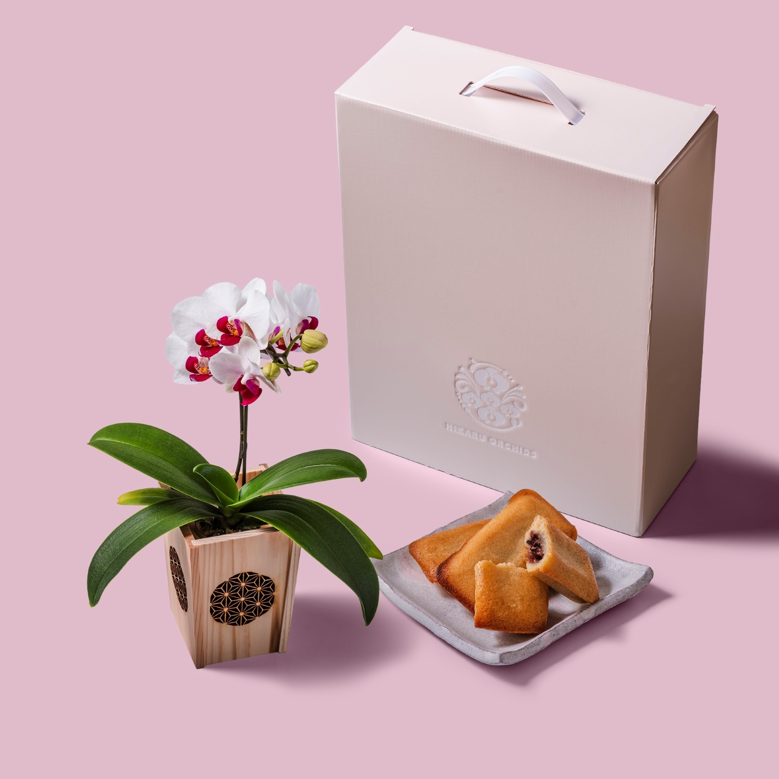 白赤 小輪 胡蝶蘭 / マル西製菓ぺんぎん一番堂 焼き菓子セット / NENE 組子細工風 麻の葉（あさのは）[002714]