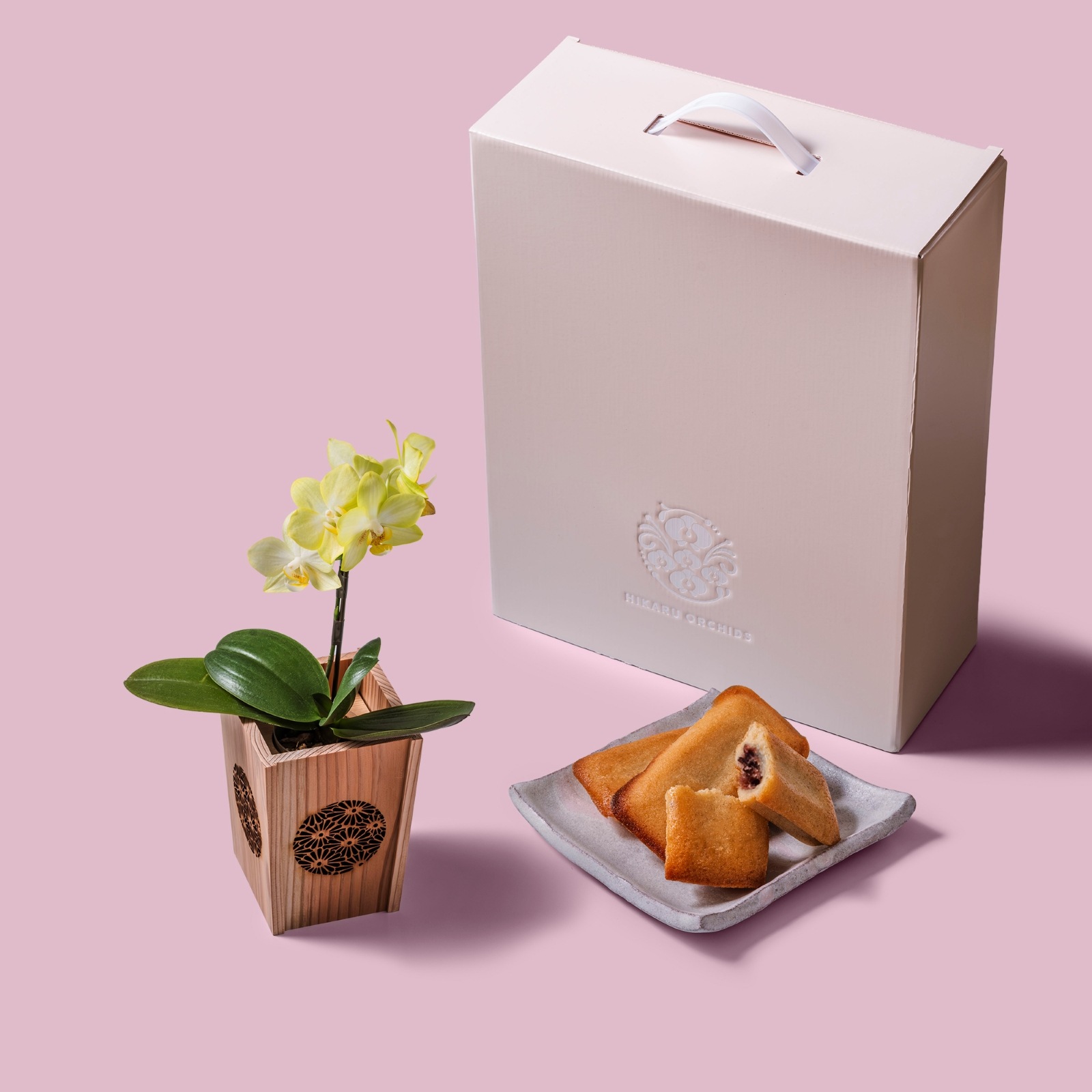 黄 小輪 胡蝶蘭 / マル西製菓ぺんぎん一番堂 焼き菓子セット / NENE 組子細工風 菊（きく）[002722]
