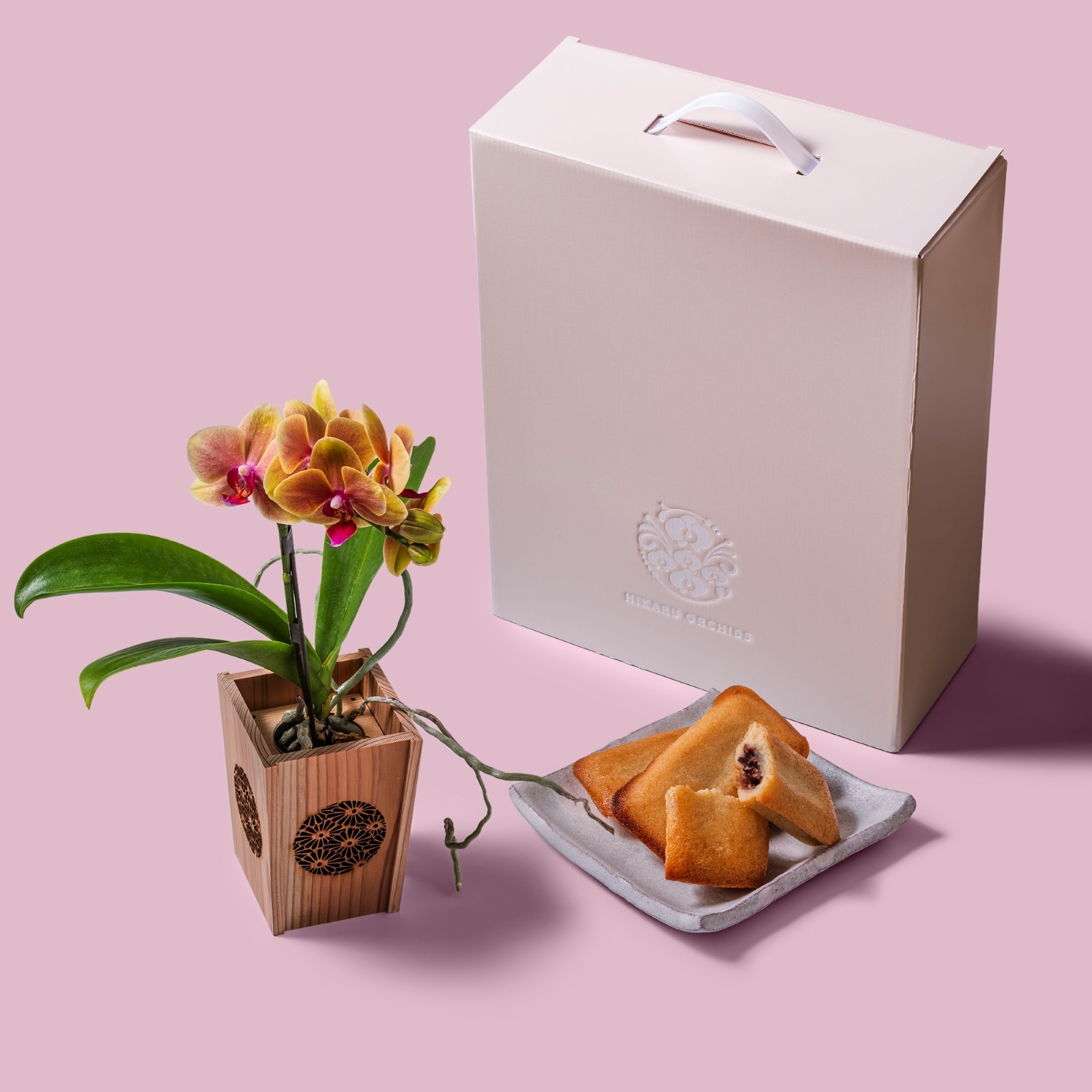 オレンジ 小輪 胡蝶蘭 / マル西製菓ぺんぎん一番堂 焼き菓子セット / NENE 組子細工風 菊（きく）[002723]