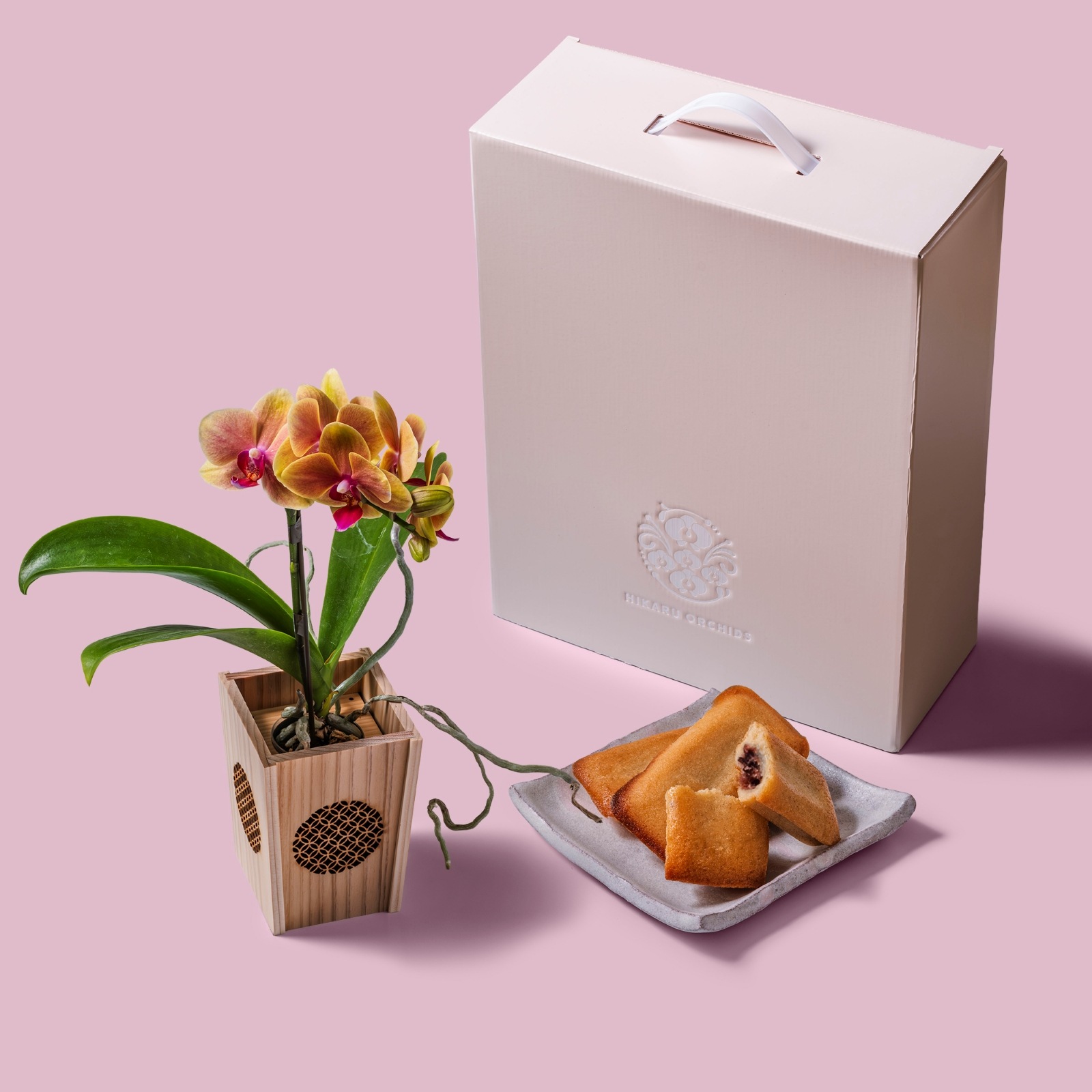 オレンジ 小輪 胡蝶蘭 / マル西製菓ぺんぎん一番堂 焼き菓子セット / NENE 組子細工風 七宝（しっぽう）[002733]