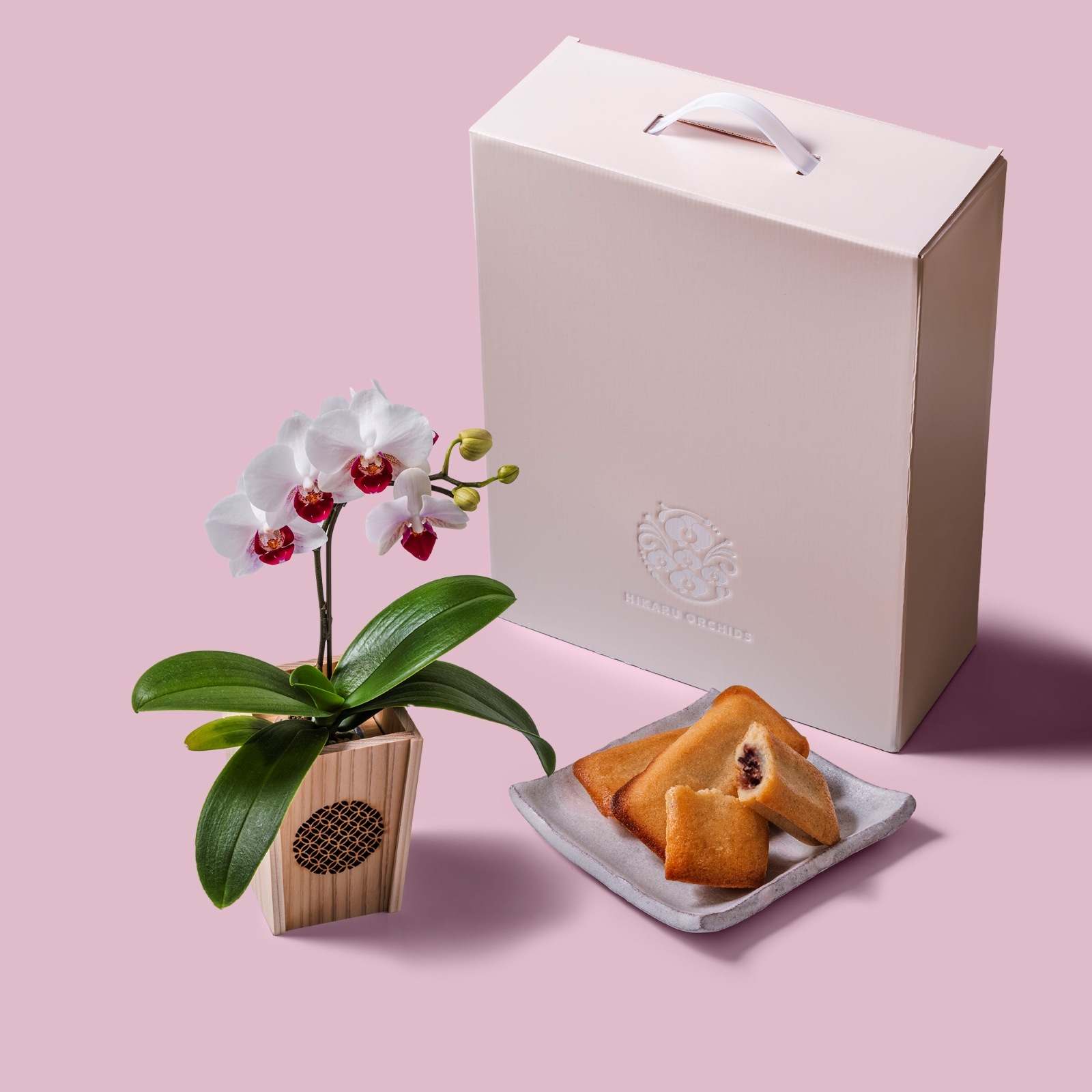 白赤 小輪 胡蝶蘭 / マル西製菓ぺんぎん一番堂 焼き菓子セット / NENE 組子細工風 七宝（しっぽう）[002734]