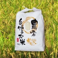 新潟県産コシヒカリ|お米|産地直送(令和3年産)