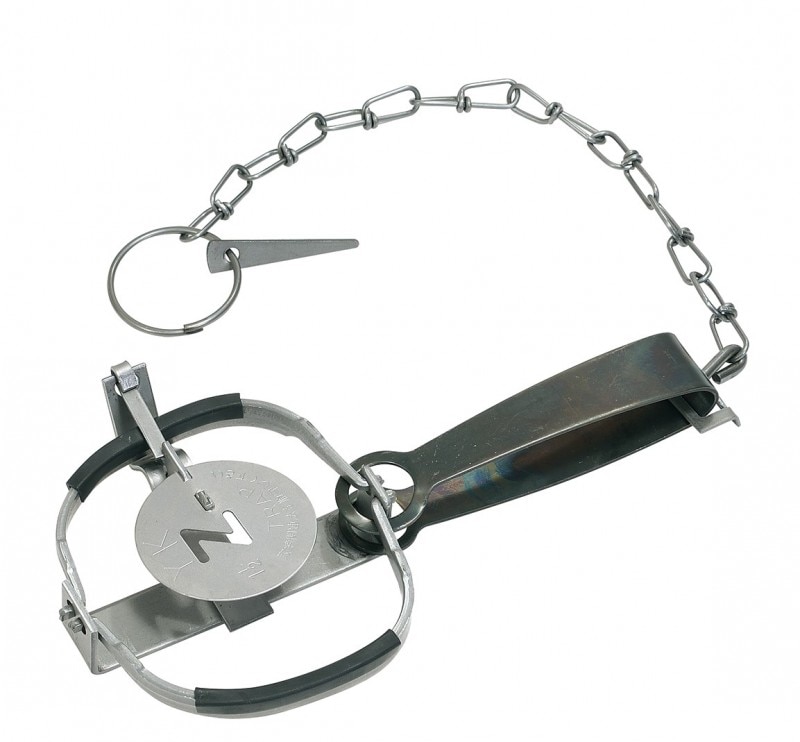 ɹȡɥҥ륺Ctype NO.1012ˡʵ̾ȥå0