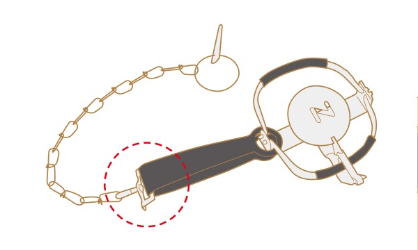 �ɹ��ȡ��ɥҥ륺��Ctype NO.201��2������ˡ��ʵ���̾���ȥ�å�1���