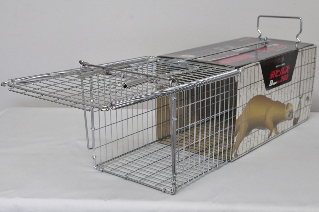 �ɹ��ȡ��ɥҥ륺��Dtype NO.202���ʵ���̾����ʹ兩����RB61��