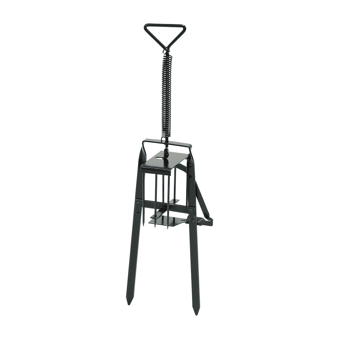 �ɹ��ȡ��ɥҥ륺��Btype NO.151���ʵ���̾��D���⥰������