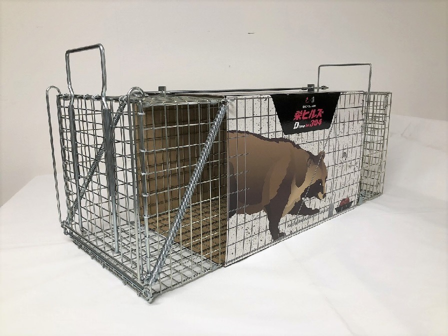 ɹȡɥҥ륺Dtype NO.304ʵ̾ݸ780Ƨļˡ