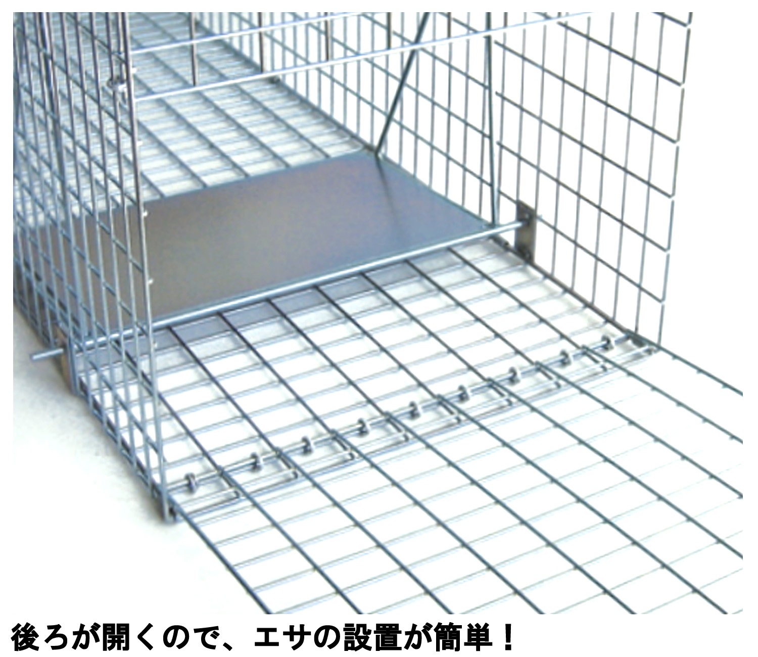 ɹȡɥҥ륺Dtype NO.304ʵ̾ݸ780Ƨļˡ