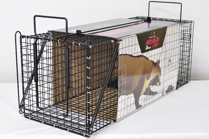 �ɹ��ȡ��ɥҥ륺��Dtype NO.305(�������ˡ��ʵ���̾���ݸ��780��Ƨ�ļ��˥֥�å���