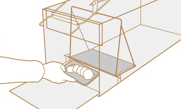 �ɹ��ȡ��ɥҥ륺��Dtype NO.305(�������ˡ��ʵ���̾���ݸ��780��Ƨ�ļ��˥֥�å���