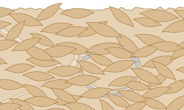 �ɹ��ȡ��ɥҥ륺��Ftype NO.608���ʵ���̾��­�������5������20����ˡ�