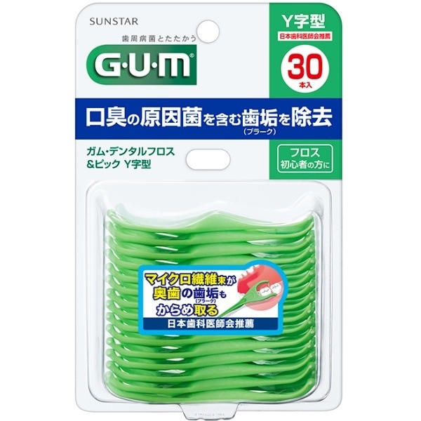 !!Τ!! GUM  ǥ󥿥եԥå Y 30 : 󥹥
