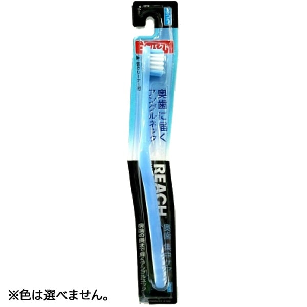 リーチ 奥歯集中ケア コンパクト ふつう 1本 : 銀座ステファニー ※色は選べません。