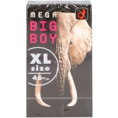 ������� �ᥬ�ӥå��ܡ��� XL������ 12���� : �������