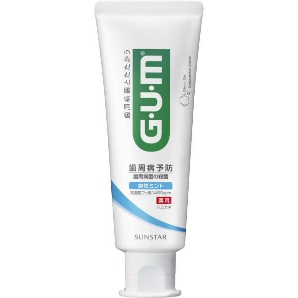 GUM ガム デンタルペースト 爽快タイプ 120g : サンスター