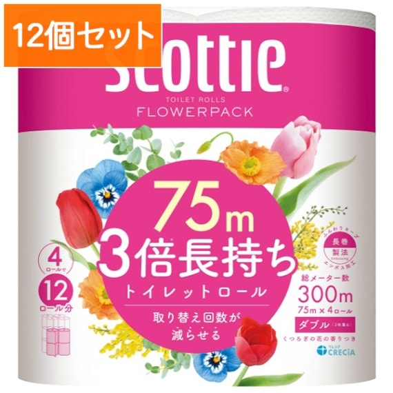 !!Τ!! åƥ եѥå 3Ĺ ȥåȥڡѡ 4 ֥ : 楯쥷 ڡ12ĥåȡޤȤ㤤