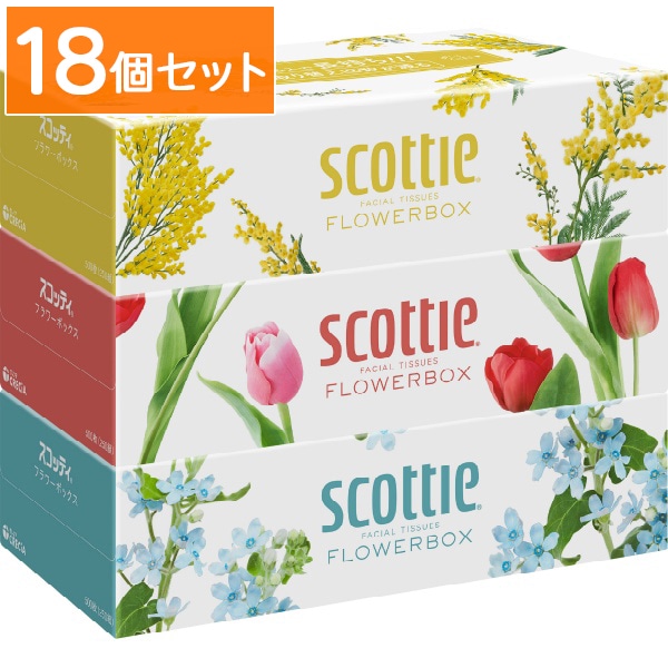 スコッティ ティシュー フラワーボックス 250組×3個パック 【×18個セット・まとめ買い】