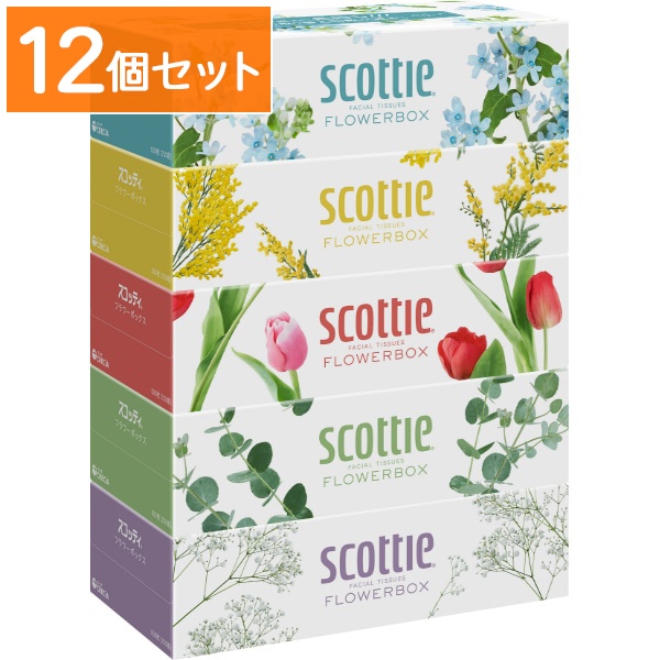スコッティ ティシュー フラワーボックス 250組×5個パック 【×12個セット・まとめ買い】