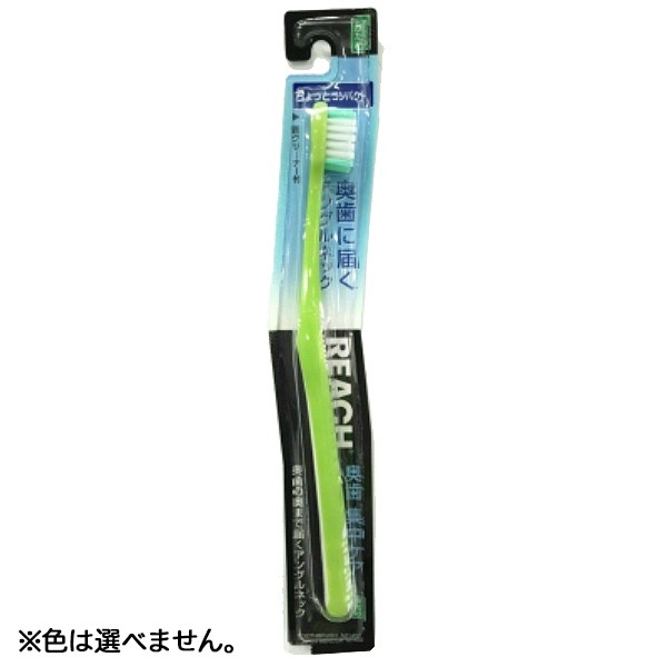 リーチ 奥歯集中ケア ちょっとコンパクト かため 1本 : 銀座ステファニー ※色は選べません。