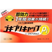 ֥ꥭå P1 15 : ˥