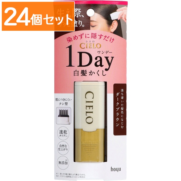 シエロ ワンデー 白髪かくし ダークブラウン 9ml : ホーユー 【×24個セット・まとめ買い】