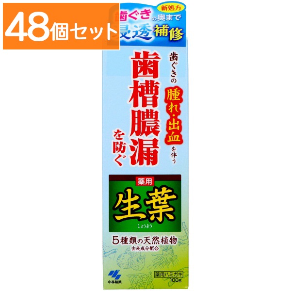 薬用ハミガキ 生葉 100g : 小林製薬 【×48個セット・まとめ買い】