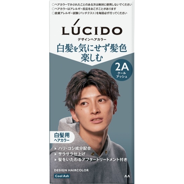 ルシード デザインヘアカラー クールアッシュ 1個 : マンダム