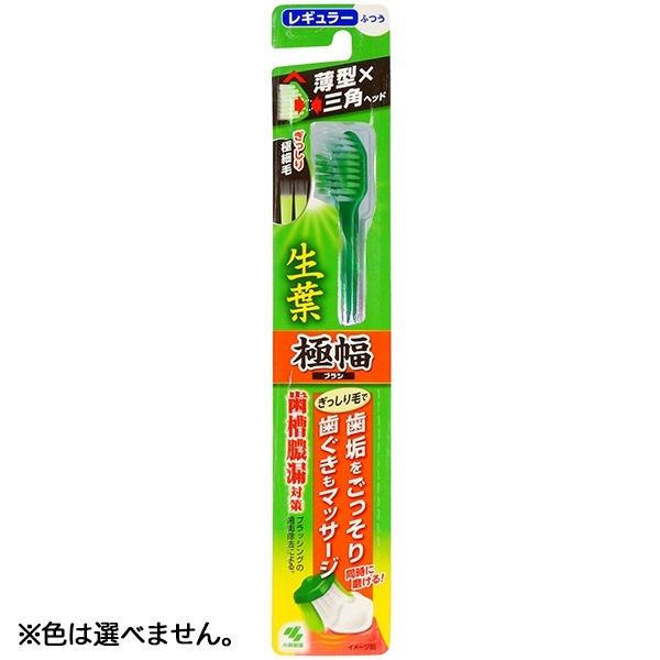 生葉極幅ブラシ ふつう 1本 : 小林製薬 ※色は選べません。