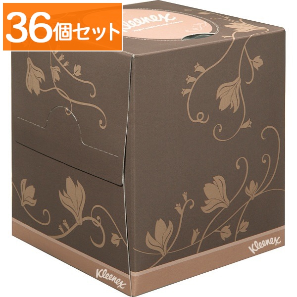 クリネックス ティシュー デグランデ 1個 : 日本製紙クレシア 【×36個セット・ケース販売】