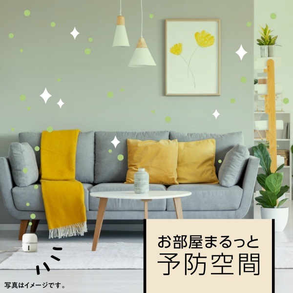 ޥ롼 ֥ ؤ 2 45ml : 